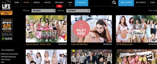LifeSelector, Best Porn Games