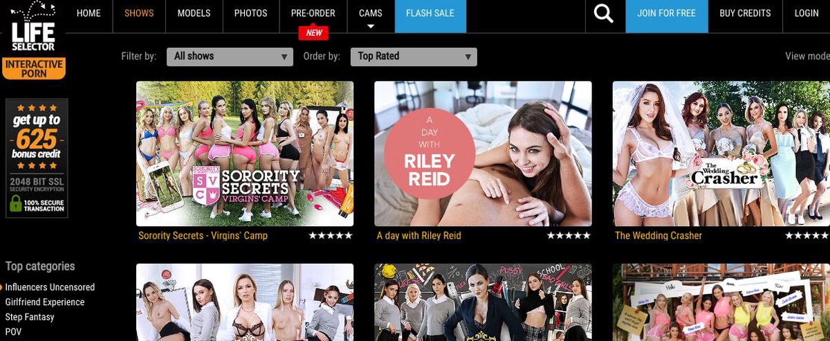 LifeSelector, Best Porn Games