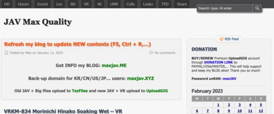 MaxJAV, Asian Porn Sites