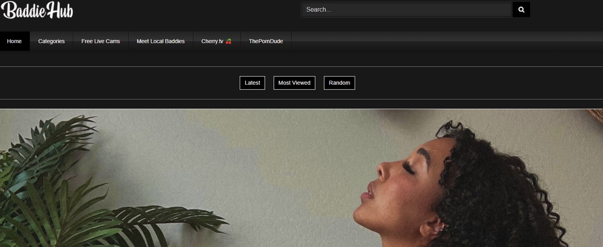 BaddieHub, Black Porn Sites