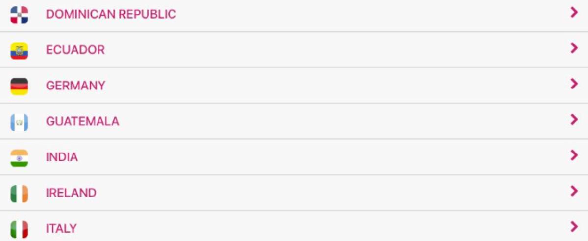 Skokka, Escort Sites