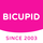 BiCupid favicon review