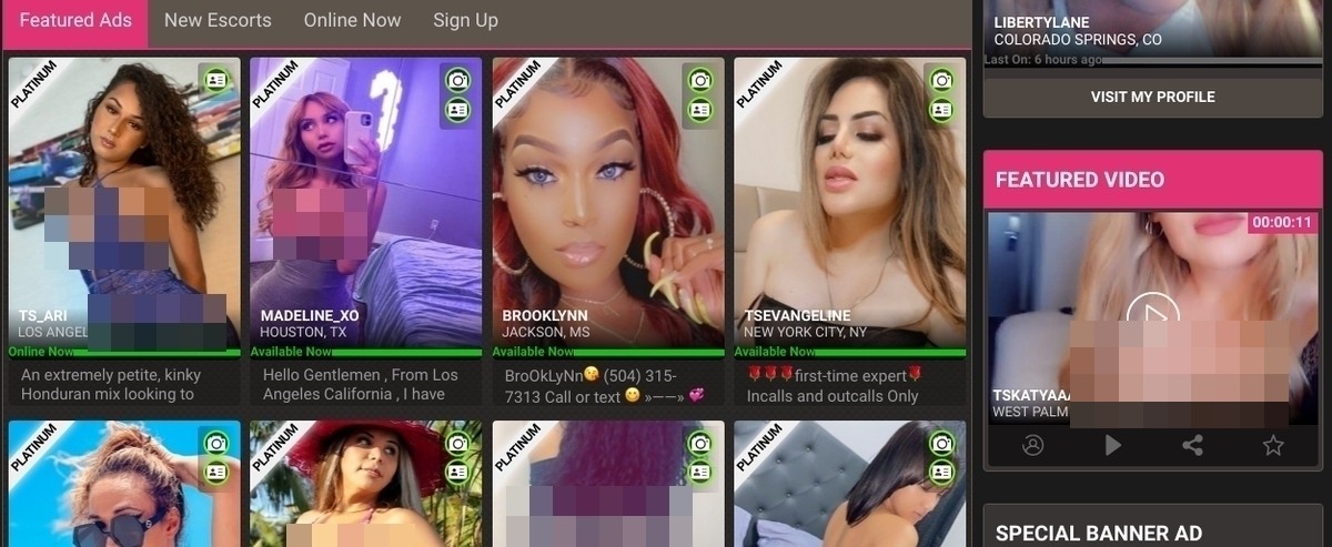 TS4Rent, Escort Sites