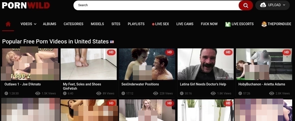 PornWild, Hall Of Fame