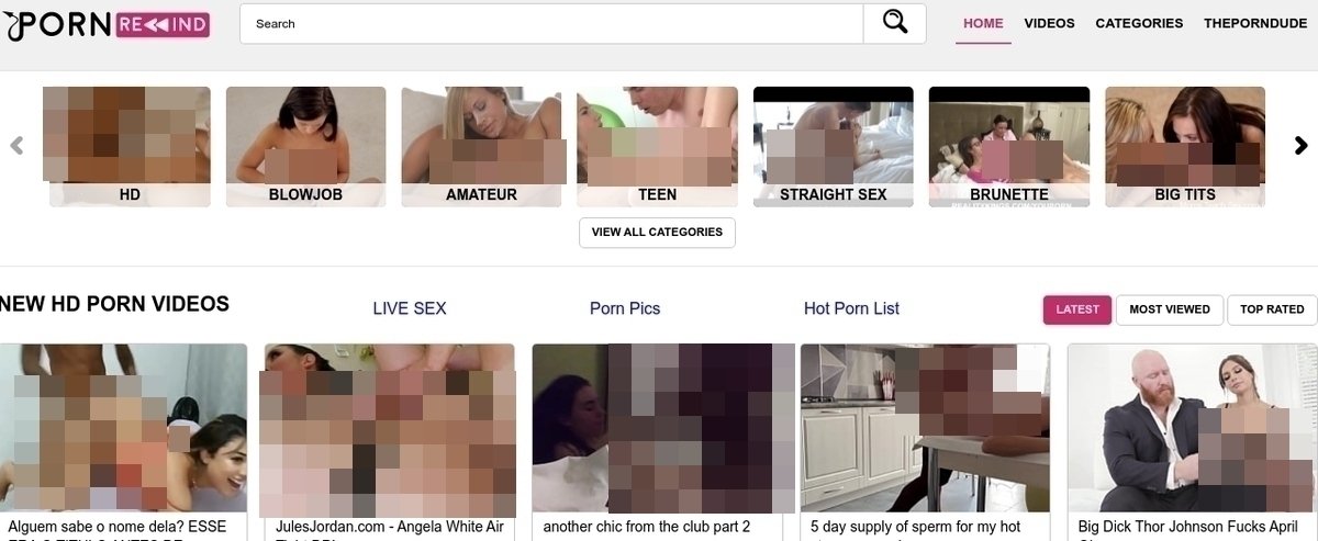 PornRewind, Hall Of Fame