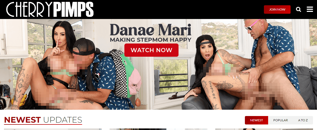 CherryPimps, Top Premium Porn Sites