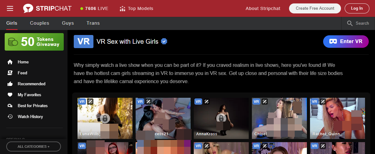 StripChat VR, VR Porn Sites