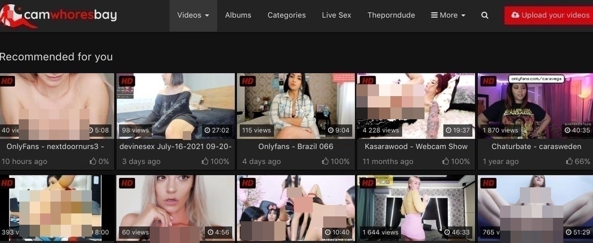 CamWhoresBay, Amateur Porn Sites