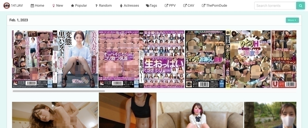 141JAV