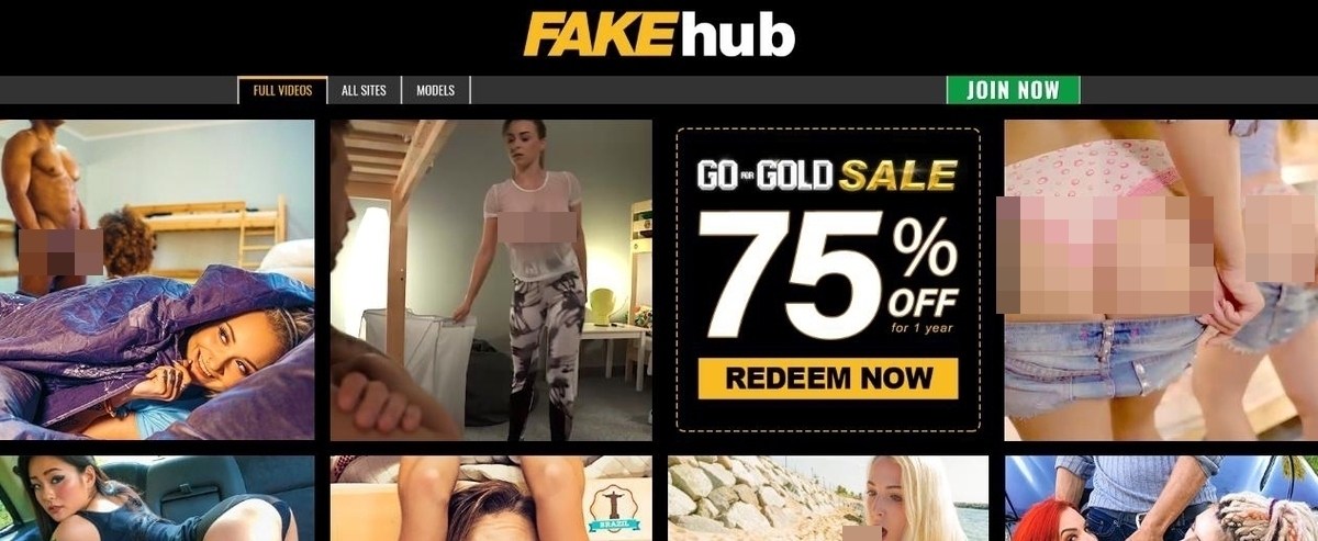 FakeHub, Top Premium Porn Sites