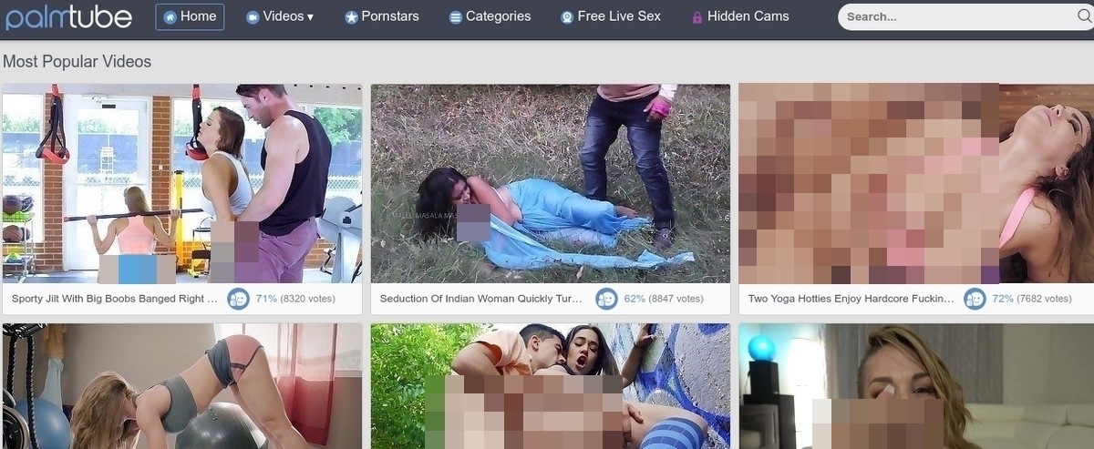 PalmTube, Free Porn Tube Sites