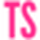 TS4Rent favicon review