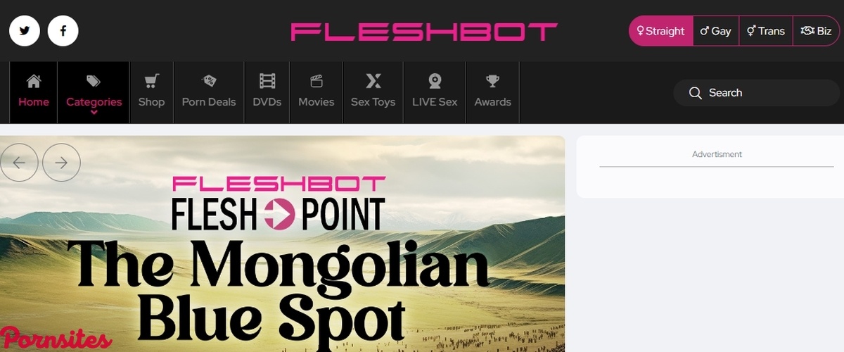 Fleshbot Fleshbot