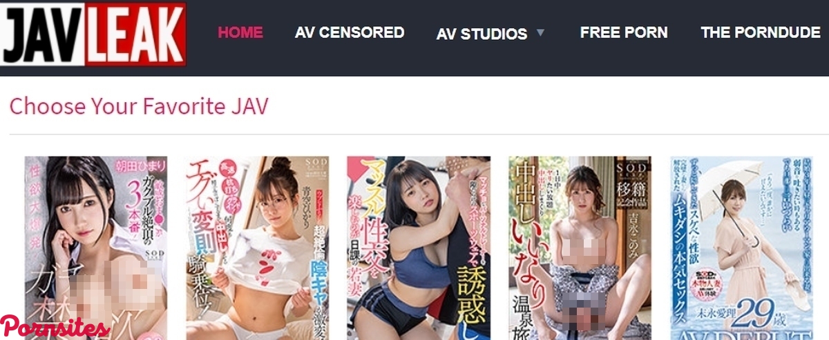 JAVLeak JAVLeak