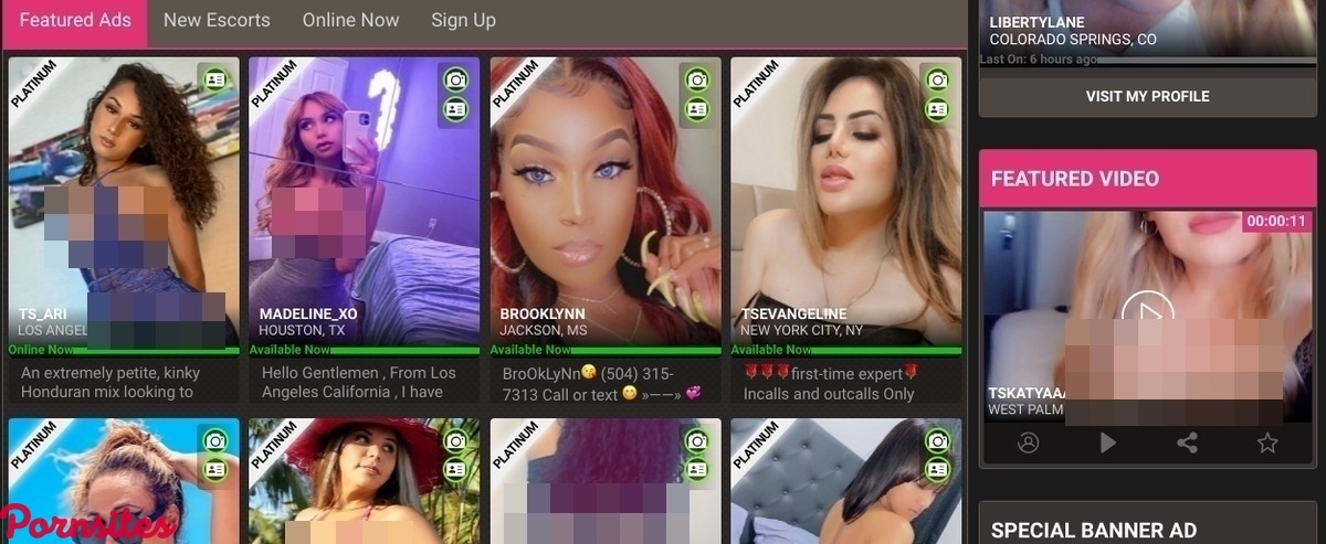 TS4Rent