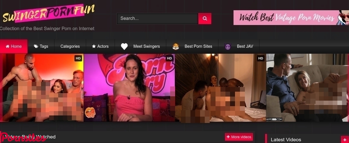 SwingerPornFun SwingerPornFun