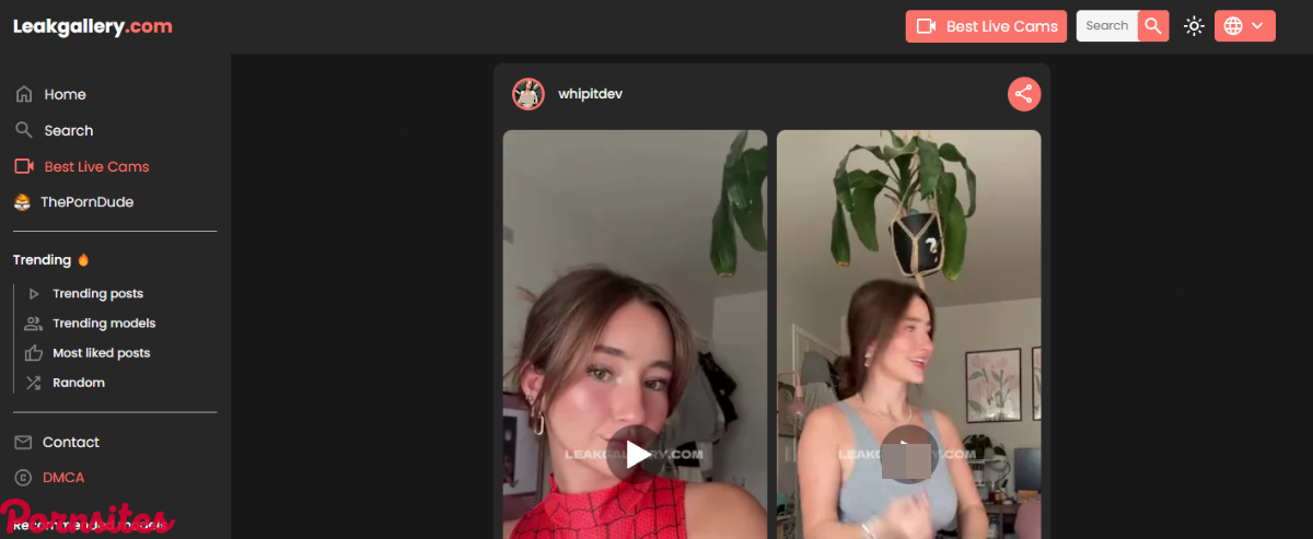 LeakGallery LeakGallery