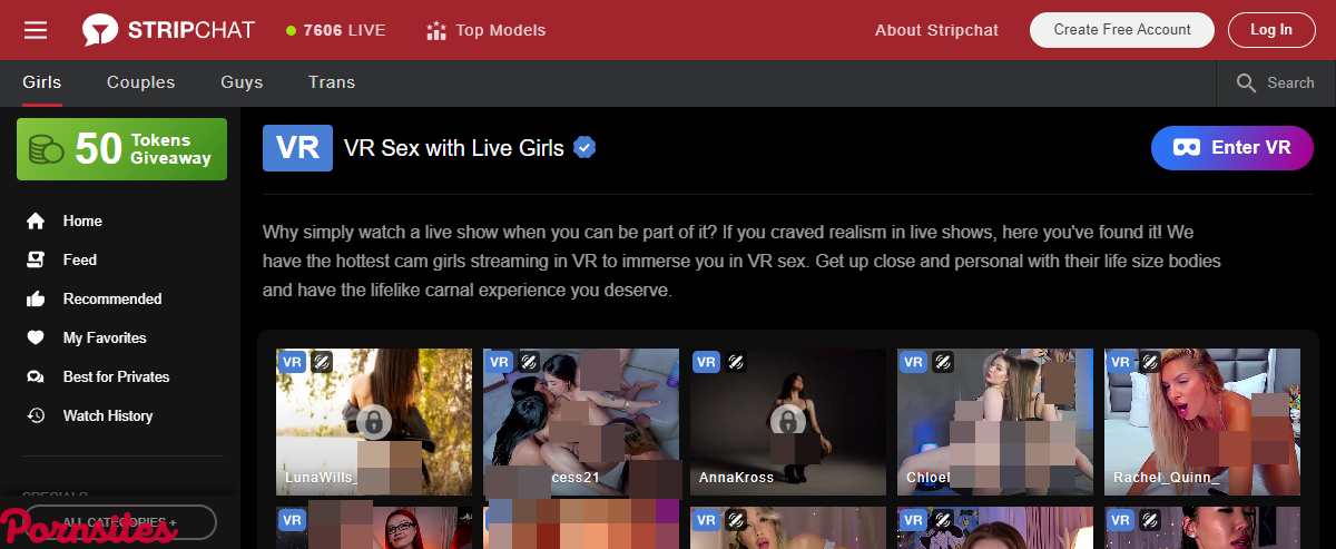 StripChat VR