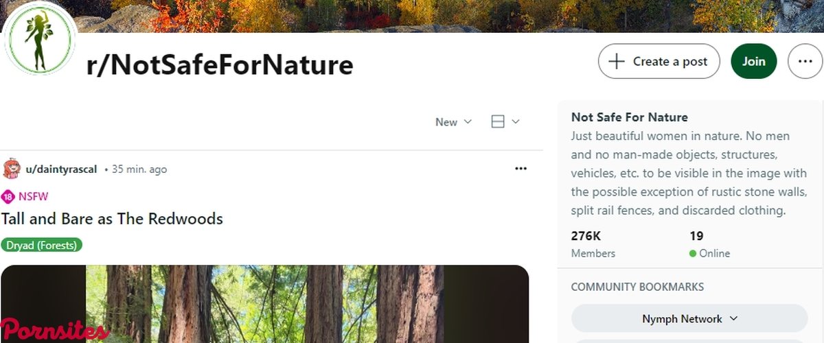 Reddit NotSafeForNature