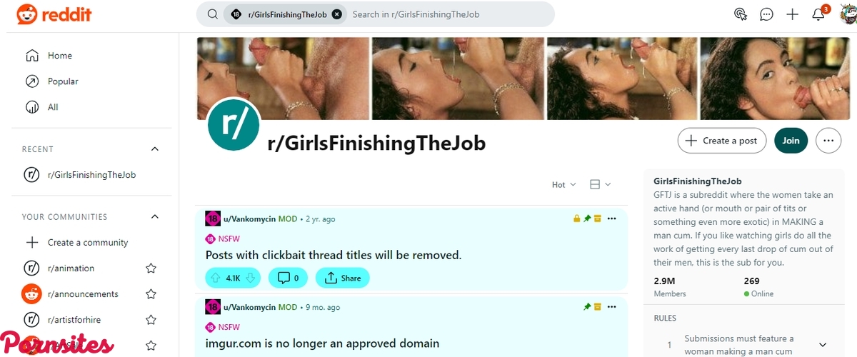 Reddit GirlsFinishingTheJob