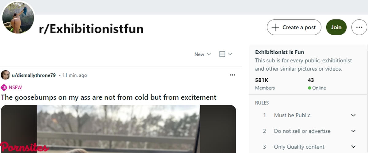 Reddit Exhibitionist Fun