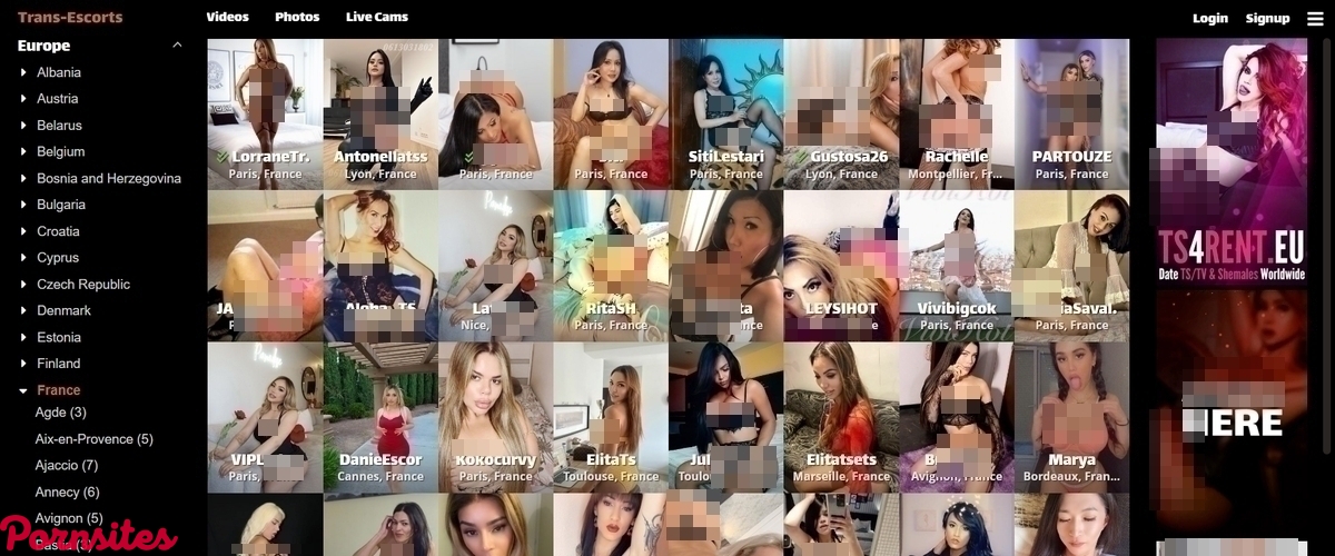 Trans Escorts Trans Escorts