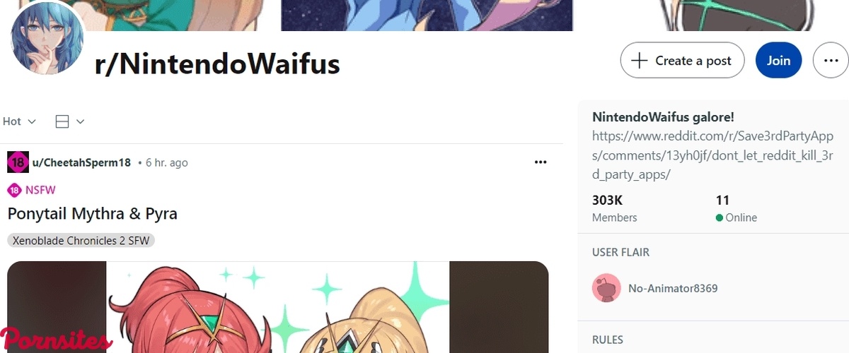 NintendoWaifus