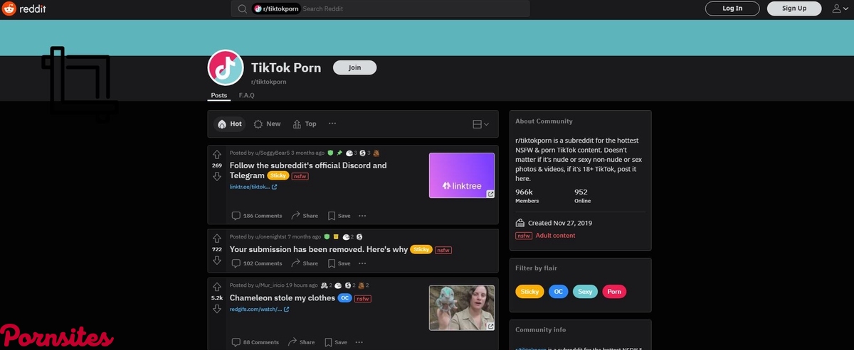 TikTok Porn