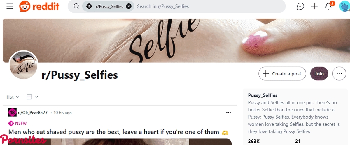 Pussy Selfies