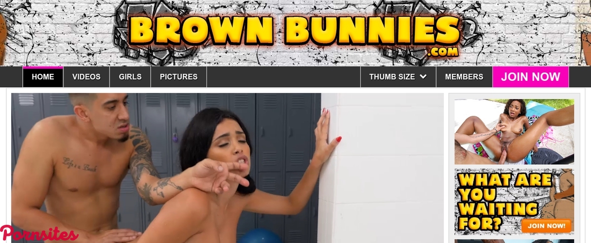 Brown Bunnies