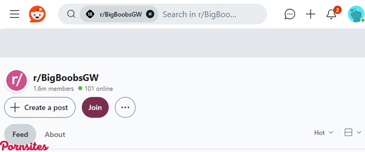 Reddit BigBoobsGW