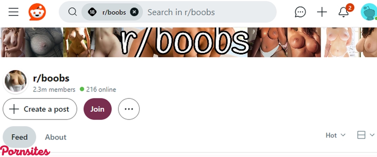 Reddit Boobs