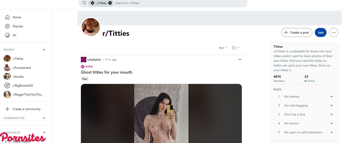 Reddit Titties