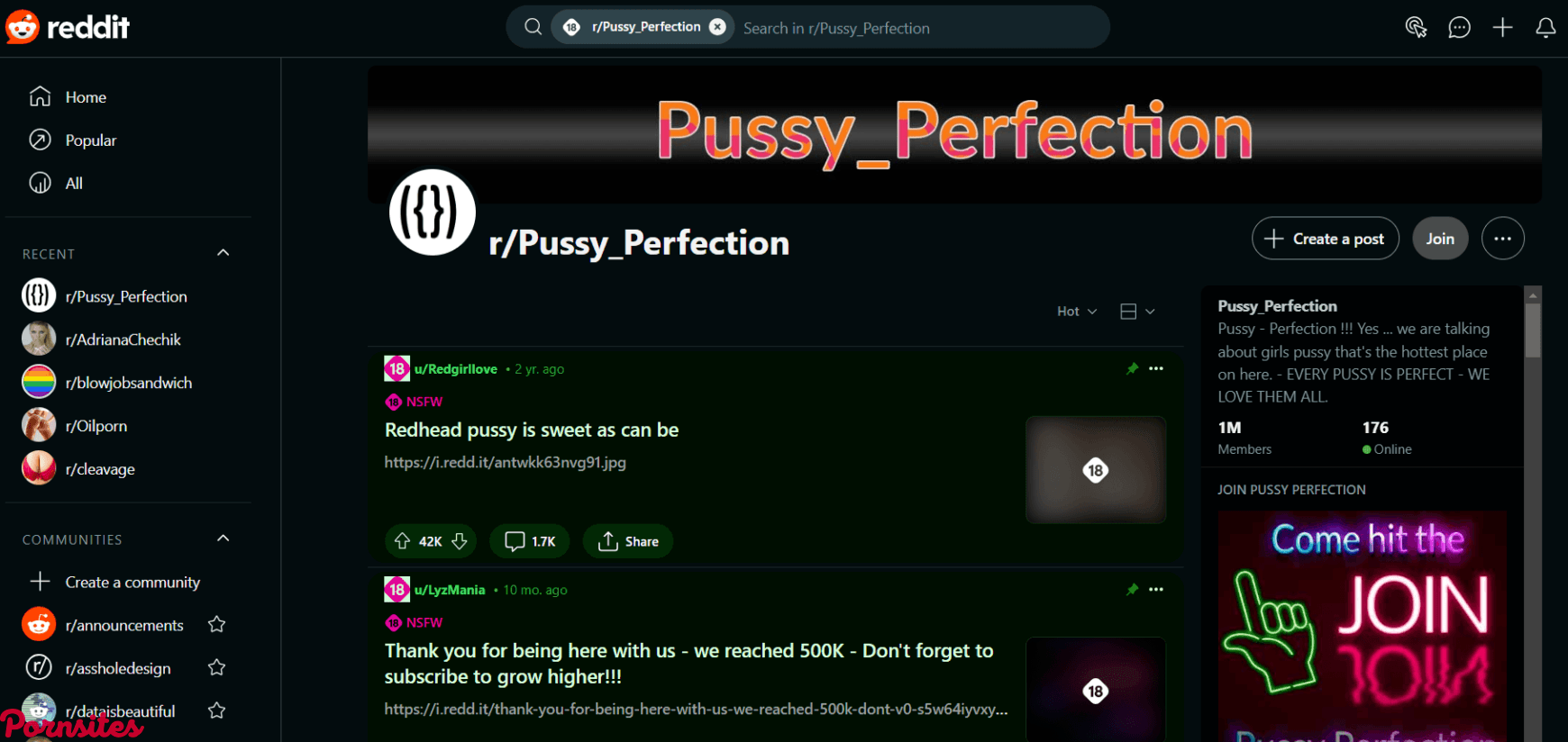 Pussy Perfection