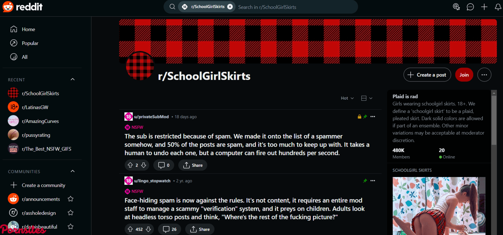 SchoolGirlSkirts