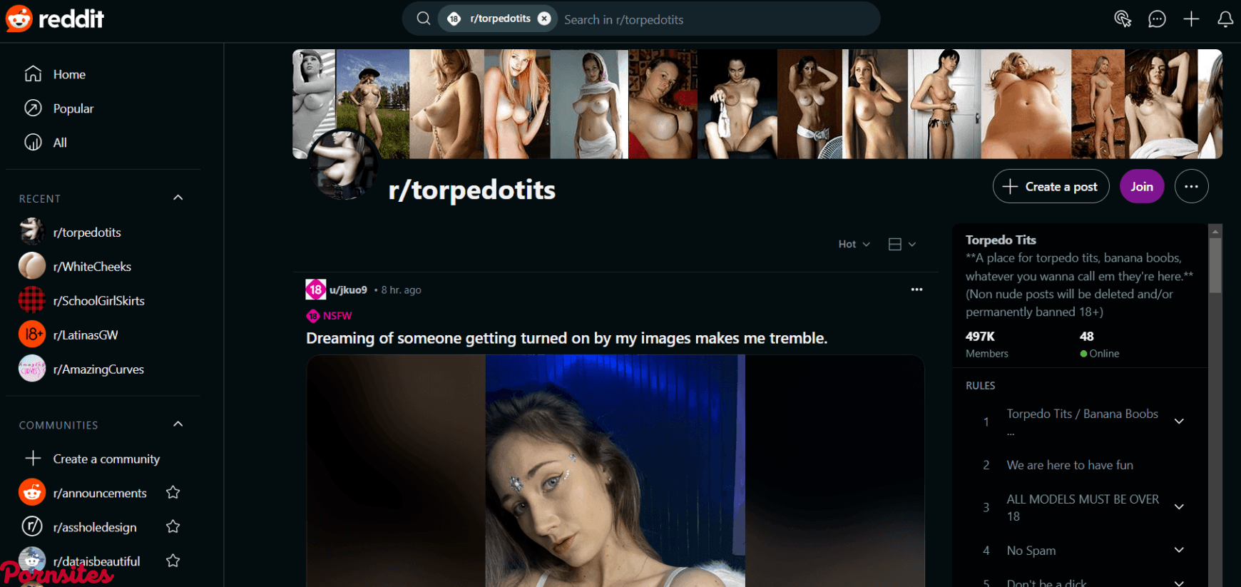 Torpedo Tits