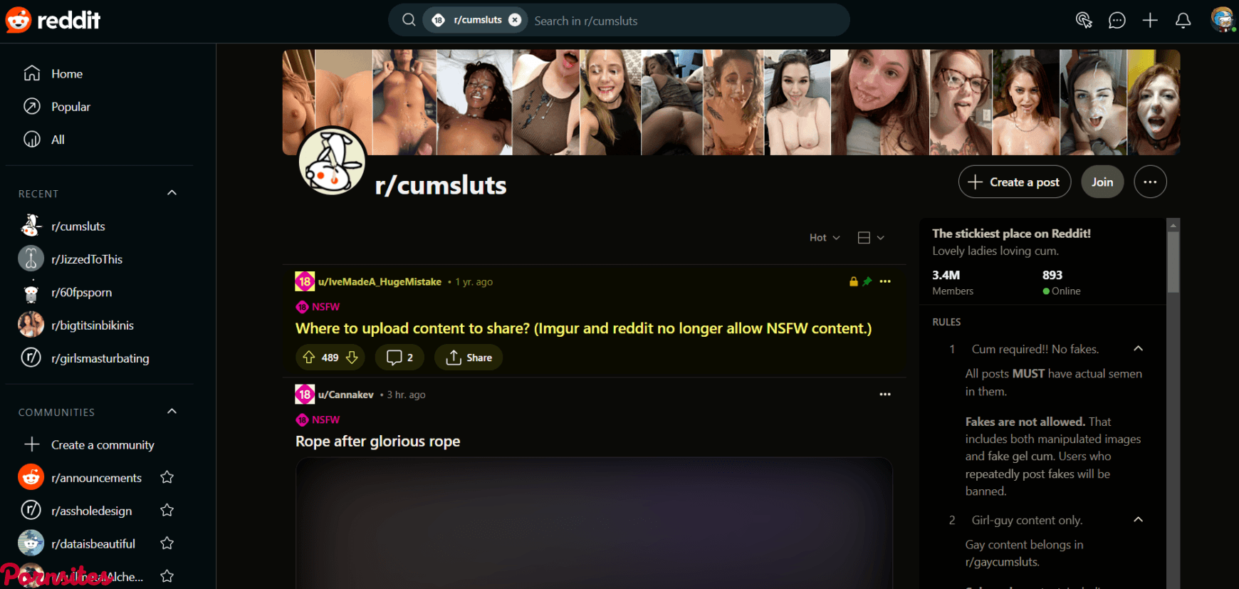 Reddit CumSluts