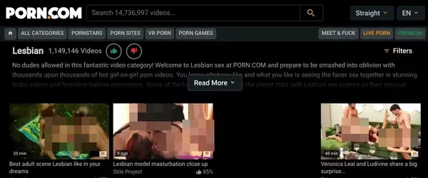 Porn.com Lesbian, Hall Of Fame