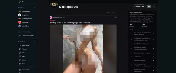 Reddit College Sluts, Teen Porn Sites (18+)