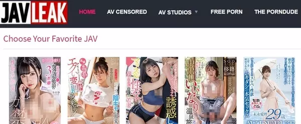JAVLeak, Asian Porn Sites