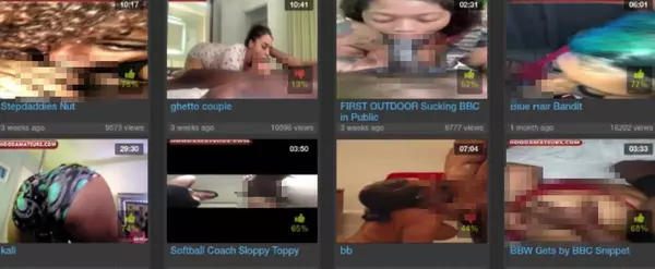 HoodAmateurs, Black Porn Sites