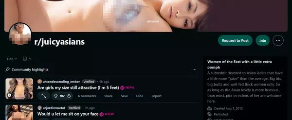 Reddit Juicy Asians, Asian Porn Sites