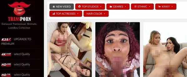 TransPorn, Free Porn Download Sites